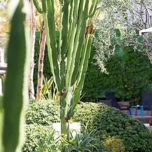 Mercure Centre Notre Dame 4* Nicea